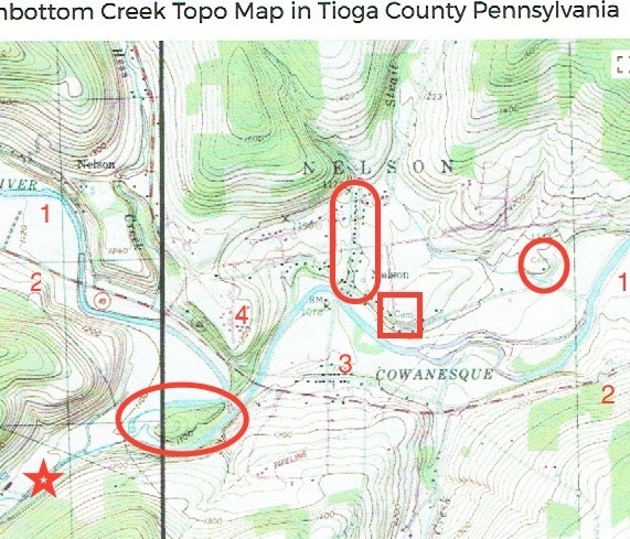 Topographical map of Nelson, PA