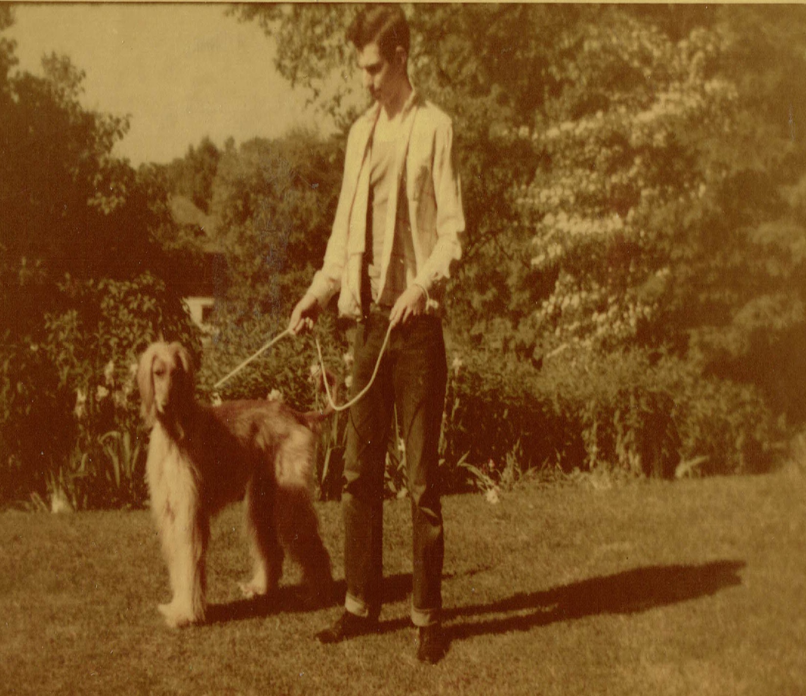 Photo of Bill Thompson and Afghan hound ca 1954